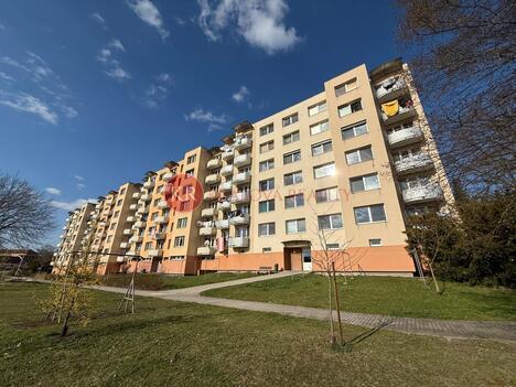 Prodej družstevního bytu 3+1, 75, m², ul. Bezdrevská, Zliv